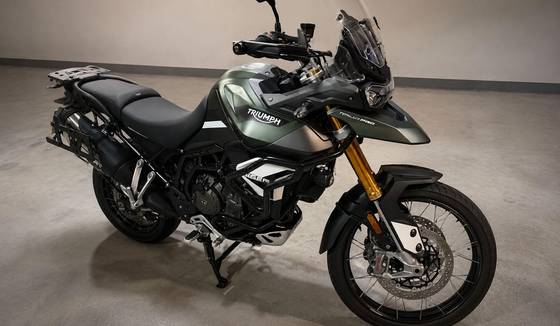 TRIUMPH TIGER 900 RALLY PRO TRIUMPH TIGER 900 RALLY PRO